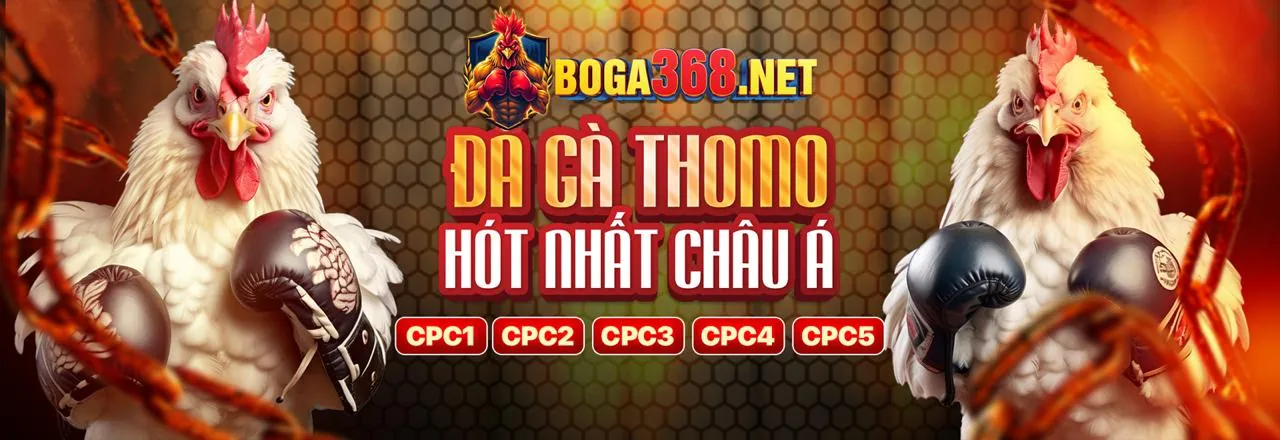 Đá gà F88 trực tiếp